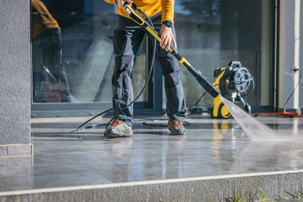 Animal Enclosure Cleaning in Bayou Country Clu, LA